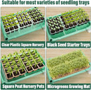 5-Tier Plant Stand with Grow Lights - Seed Starting Kit Germination Tray Full Spectrum Sunlike Plant Light for Indoor Plants, Greenhouse, Succulents, Seedlings by GreenHaven Gardens