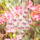 MerryNine 6 Pcs Clear Crystal Ball Prism Sun Shine Catcher Rainbow Pendants Maker, Hanging Crystals Prisms for Windows, for Feng Shui (30mm/40mm/50mm 6Pack) by GreenHaven Gardens
