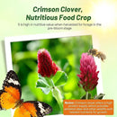 Outsidepride Crimson Clover Seeds - 1/4 lbs. Annual, Nitrocoated, & Inoculated Ground Cover Seeds, Ideal Clover Seed for Lawn, Cover Crop, Pasture, Hay, Green Manure & Wildlife Forage by GreenHaven Gardens