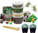 Cute Farms Terrarium Starter Kit | Moss, Vermiculite, Soil, Pebbles, Plant Food, & Finishing Tools (Medium Kit + Live Plants) by CozyNest Decor