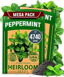 HOME GROWN Peppermint Seeds 2 Pack (Mentha × piperita) – 4,740 Heirloom Mint Seeds for Planting – 𝗡𝗢𝗡-𝗚𝗠𝗢, 𝗨𝗦𝗔-𝗦𝗢𝗨𝗥𝗖𝗘𝗗 – Grow Indoors or Outdoors, Kitchen Herb Garden Favorite by GreenHaven Gardens