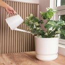 Elly Décor 10 inch Plastic Cylinder Planter Pot with Self-Watering Saucer and Drainage Hole,Lightweight & Extremely Durable, 10"x 10", White by CozyNest Decor