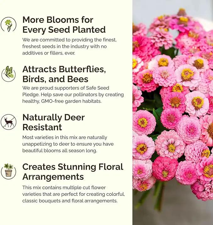 Eden Brothers Pink Perfection Flower Mixed Seeds for Planting, 5 lb, 2,400,000+ Seeds with Zinnia, Cosmos Versailles | Attracts Pollinators, Plant in Spring or Fall, Zones 3, 4, 5, 6, 7, 8, 9, 10, photo 4 of 6