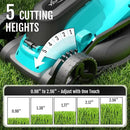 (2025 Model) YARDCARE 36V Brushless Cordless Lawn Mower with 2X4.0Ah Batteries, LED Display Screen, Electric Lawnmower with 5-Position Height Adjustment, 8 Gallon Grass Bag, Charger by GreenHaven Gardens