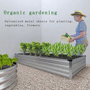 Galvanized Raised Garden Bed,2 Pcs 12×2×1FT Metal Planting Box for Outdoor Vegetable, Herb,Planter Gardening (Silver) by GreenHaven Gardens