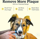 Jasper Dog Toothbrush, 360º Dog Tooth Brushing Kit, Cat Toothbrush, Dog Teeth Cleaning, Dog Finger Toothbrush, Use with Dog Toothpaste - Clear 2-Pack by CozyNest Decor