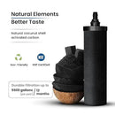Gravity Water Filter System - 3.25 Gallons - NSF Certified - AISI 304 Stainless Steel Countertop Water Filter System with 2 Smart (Black) Carbon Filter Elements & Free Stainless Steel Water Spigot by CozyNest Decor
