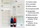 Rs' Science All-in-One Microscope Slide Preparation Kit, 40 Pieces by TinyTreasures Baby Boutique