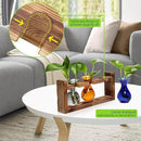 Plant Propagation Station Plant Terrarium Unique Birthday Gifts for Women Plant Lovers Home Office Decor Planter with Wooden Stand - 3 Bulb Glass Vase by GreenHaven Gardens