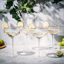 Coupe Cocktail Glasses 7 oz, Set of 4 Classic