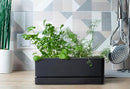 D'vine Dev 12 Inch Window Box Planter, Rectangle Plastic Herb Planter with Drainage Holes and Saucer, Indoor Succulent Cactus Vegetable Pot for Windowsill, Garden Balcony, Black, Set of 2, 76-X-B-2 by GreenHaven Gardens