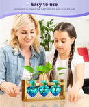 Nacome Plant Terrarium for Office Decor: Wooden Stand Tabletop Planter 3 Bulb Glass Vase Heart Shaped for Hydroponics Indoor Home - Birthday Gifts for Women Mom Grandma by GreenHaven Gardens
