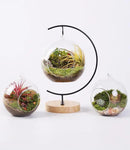 15-Piece Terrarium Kit with Live Moss – DIY Glass Globe Set with Tools, Soil, Stones & Spray Bottle – Indoor Mini Garden Gift for Plant Lovers, Home Decor & Zen Craft by CozyNest Decor
