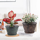 11 inch Plant Pot, 3 Pack Large Pots for Plants, Flower Pots with Drainage Hole & Saucer, Modern Planters for Indoor Outdoor Plants, Decorative Plastic Garden Pots (Copper) by CozyNest Decor