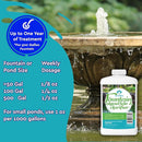 Algaecide for Fountains – Clarify and Controls Algae for Large and Small Fountain (8 oz) by GreenHaven Gardens