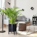 D'vine Dev Planter Pot with Stand - 14 Inch Plastic Cylinder Flower Pot with Wood Planter Holder for Indoor, Matte Black Pot + Ebony Stand, 55-C-T-2 by GreenHaven Gardens