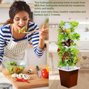 Hydroponic Growing System Kit – Indoor Vertical Hydroponic Garden Tower, 35 Planting Pods，Indoor Herb Garden,Lettuce Vegetables Hydroponic Growing Kit