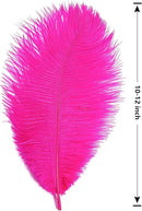 THARAHT Hot Pink Ostrich Feathers 24pcs Natural Bulk 10-12Inch 25cm-30cm for Crafts Wedding Party Centerpieces Easter Gatsbi and Home Decoration Feathers by CozyNest Decor
