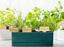 D'vine Dev 12 Inch Window Box Planter, Rectangle Plastic Herb Planter with Drainage Holes and Saucer, Indoor Succulent Cactus Vegetable Pot for Windowsill, Garden Balcony, Green, Set of 1, 76-X-C-1 by GreenHaven Gardens