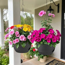 2 Pack Hanging Planters for Indoor Outdoor Plants, 12 Inch Self Watering Hanging Pot with Drainage Holes and Saucer, Plastic Plant Pots, Black Flower Pots for Kitchen, Balcony, Garden by CozyNest Decor