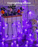 Purple Solar Lights Outdoor Waterproof, 2-Pack 120 LED 72 FT Total, Halloween Globe Lights for Garden Yard Wedding Christmas Party Decor (Purple) by GreenHaven Gardens
