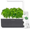 Click & Grow Indoor Herb Garden Kit with Grow Light | Smart Garden for Home Kitchen Windowsill | Easier Than Hydroponics Growing System | Vegetable Gardening Starter (3 Basil Pods Included), Grey by GreenHaven Gardens