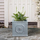 Kante Square Lion Head Concrete Planter, Classic English Style Plant Pot with Drainage Hole and Rubber Plug for Indoor Outdoor Garden Patio Home, 10.2"x10.2"x 10.2" Antique Gray by GreenHaven Gardens