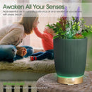 Earnest Living Essential Oil Diffuser Ceramic Artificial Succulent Plants Potted Diffuser 100 ml for Lavender Essential Oils Timers Night Lights and Auto Off Humidifier Aromatherapy Diffusers for Gift by TinyTreasures Baby Boutique