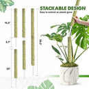 DUSPRO Stackable Mesh Moss Pole for Plants Monstera Potted Plant Stakes for Indoor Plants Extendable Plant Pole Moss Sticks for Plants Climbing Vine Supporting Monstera Trellis 2Pack 22'' by GreenHaven Gardens