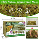 Halatool 1.1LB Green Forest Moss- 25QT Natural Sphagnum Moss for Plants Fluffy Orchid Moss for Orchids Repotting Dried Plant Moss for Potted Plants Indoor & Outdoor by GreenHaven Gardens