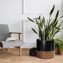 D'vine Dev 14 Inch Ceramic Planter Pot with Drainage Hole and Saucer, Indoor Cylinder Round Planter Pot, Black/Speckled Tan, 94-O-G-7 by GreenHaven Gardens