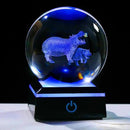 Qianwei Hippopotamus Gifts for Women 3D Crystal Ball 3.14'' - Laser Hippopotamus Decor Glass Animals Hippo Gifts Figurines Statue Stuff for Room Decorations Hippo Night Light by GreenHaven Gardens