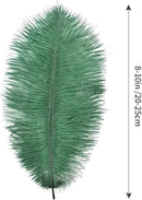 THARAHT Blackish Green Ostrich Feathers 12pcs Natural Bulk 8-10Inch 20cm-25cm for Crafts Wedding Party Centerpieces Mardi Gras Decoration Feather by CozyNest Decor