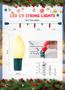 Vintage C9 LED Christmas Lights Outdoor, 50 Feet C9 String Lights with 50 Shatterproof Matte Bulbs, Connectable Waterproof Lights for Holiday Party Roofline Backyard Garden Patio, R & Warm White by GreenHaven Gardens