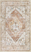 Lahome Boho Washable Living Room Area Rug 3x5 Throw Non-Slip Rugs for Bedroom Aesthetic Lightweight Thin Entry Rug Kitchen Rugs Oriental Distressed Print Capet for Office Bathroom Laundry Room by TinyTreasures Baby Boutique