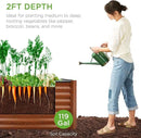 Best Choice Products 4x2x2ft Outdoor Metal Raised Garden Bed, Deep Root Planter Box for Vegetables, Flowers, Herbs, and Succulents w/ 119 Gallon Capacity - Wood Grain by GreenHaven Gardens