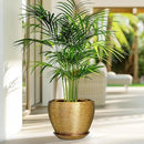 Ceramic Plant Pot 8 Inch - Planter for Outdoor Plants Indoor Plant Pot with Drainage Hole and Saucer Decorative Round Planter Modern Flower Pot for House Decor Gold by GreenHaven Gardens