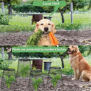 Garden Cloches for Plants, Sapbontchi Chicken Wire Plant Covers Plant Protectors from Animals Plant Protector Metal Plant Cages to Keep Rabbits Out Bunnies Chicken Squirrels Bird Out by GreenHaven Gardens