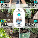 Plant Self Watering Globes - Terracotta Watering Spikes - Slow Release Olla Pots - Holds 16 oz - Drip Irrigiation Olla System by GreenHaven Gardens