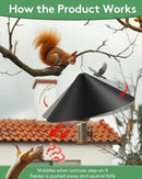 19 Inch Metal Squirrel Baffle for Bird Feeder, Squirrel Proof for Hanging Bird Feeder, Outdoor Bird Feeder Cover, Hummingbird Feeder Umbrella, Rust Chew Proof Heavy Duty by GreenHaven Gardens