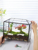 Handmade Glass Planter Terrarium with Lid, Indoor Tabletop Centerpiece Display Box Modern Decor DIY Gift Plant Terrarium Container for Succulent Cacti Air Plants Flower (Black) by GreenHaven Gardens