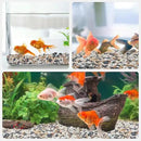 2.5 lbs Small Rocks for Plants, 1/5 Inch Pebbles for Indoor Plants, Natural Decorative Pea Gravel for Aquarium, Fish Tank, Terrarium, Succulents, Bamboo Plants, Vases, Cactus, Crafts by CozyNest Decor