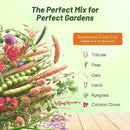 Outsidepride Gardenway Cover Crop Seeds - 5 lbs Nutrient-Rich Seed Mix for Soil Health Improvement & Home Gardens - Mixture of Triticale, Peas, Oats, Vetch, Annual Ryegrass, Crimson Clover by GreenHaven Gardens