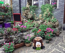 Garden Gnome Statue, Garden Decor,Gnomes Decorations for Yard, Funny Garden Bird Welcome Figurines for Outdoor Patio, Lawn, Yard Art Decoration ，Christmas Garden Gifts (Green) by GreenHaven Gardens