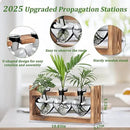 Lifecapido Heart Shaped Propagation Stations, Plant Terrarium with Wooden Stand, Plant Propagation Station for Hydroponics Plants Office Garden Home Decor, Gifts for Women Plant Lover (3 Vases, Gray) by GreenHaven Gardens