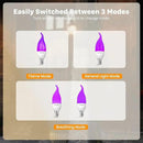 Hompavo 【Upgraded LED Flame Light Bulbs, 3 Modes Flickering Light Bulbs, E12 Chandelier Base Candle Fire Light Bulb for Halloween Christmas Party Porch Indoor & Outdoor Home Decoration, Purple 6 Pack by GreenHaven Gardens
