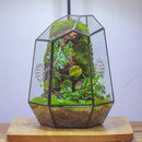 NCYP Closed Geometric Glass Enclosure with Front Opening Door & 2 Vent Holes for Insects, Succulent, Cacti - 7.9"x6.9"x9.8" Black Irregular Terrarium Planter - Home Garden Tabletop Decor (No Plants) by GreenHaven Gardens