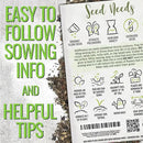 Seed Needs Wildflower Seeds Hummingbird and Butterfly Seed Mix | 2 Packs (1 Ounce Each) No Filler 23 Varieties Garden Seeds Annual & Perennial Species | Pollinator Attracting Flower Seed | Bulk by GreenHaven Gardens