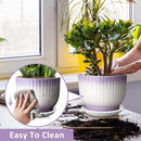 8 Inch Plant Pot, Ceramic Planter with Drainage and Saucer, Ceramic Pots for Plants, Indoor Plant pots,Ceramic Flower pots(Purple + White, Plants NOT Included) by GreenHaven Gardens