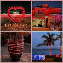 Rope Lights for Outside, 100FT 300 LED Plug in Christmas Lights Outdoor with Waterproof 8 Modes, Connectable String Twinkle Light for Indoor House Patio Garden Pool Wedding Decorations, Red by GreenHaven Gardens